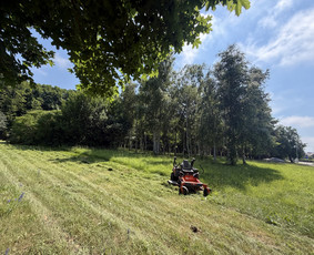 Žemės frezavimas - Vejos Priežiūra ir Gerbūvio Darbai - 2