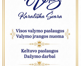 Karališka švara ir tvarka Jūsų aplinkoje, valymo paslaugos / MB Karališka švara / Darbų pavyzdys ID 4457840