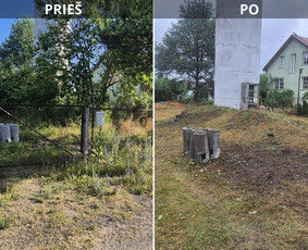 Medžių genėjimas, pjovimas - Sklypų valymas, žolės pjovimas, krūmų ir medžių pjovimas - 1