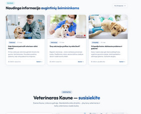 Reklamos paslaugos - Lamalocal &ndash; Google Ads, Ai Seo, Google Maps Seo, Gmb Seo - 2