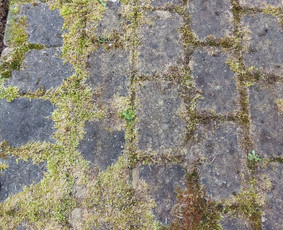 Profesionalus Trinkelių, Fasadų, Stogų plovimas, impregnavim / Hansea, MB / Darbų pavyzdys ID 4459580