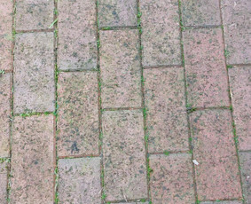 Profesionalus Trinkelių, Fasadų, Stogų plovimas, impregnavim / Hansea, MB / Darbų pavyzdys ID 4459582