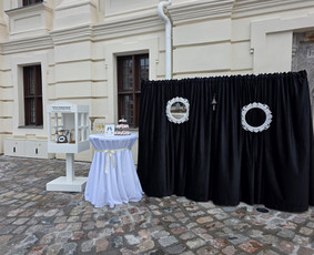 Renginių organizavimas - Personažai vaikams ir suaugusiems. Gyva &scaron;ampano siena - 2