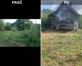 Sklypų valymas, žolės pjovimas, krūmų ir medžių pjovimas / Aplinkos tvarkymas / Darbų pavyzdys ID 4460596