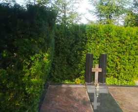 Kapų tvarkymas, priežiūra - Nuolatinė priežiūra, dekoravimas skaldele, borteliai - 2