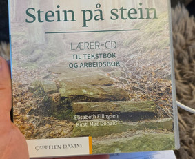 Mokymai, kursai, kalbos - Norvegų kalbos kursai nuo A1 iki C1 lygio internetu. - 2