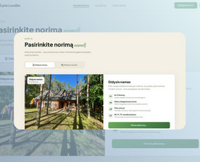 Svetainių dizainas (web design) - Svetainių ir el. parduotuvių kūrimas, kuris parduoda. - 4