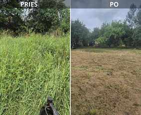 Tradiciniai amatai - Avarinių medžių pjovimas, Medžių genėjimas, Žolės pjovimas - 2