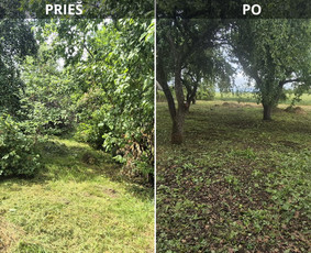 Tradiciniai amatai - Avarinių medžių pjovimas, Medžių genėjimas, Žolės pjovimas - 1