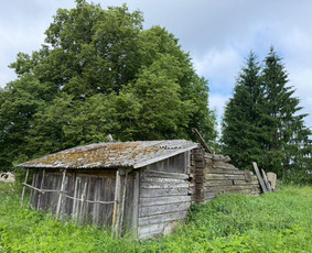 Statybos, apdaila - Griovimo ir demontavimo darbai - 4