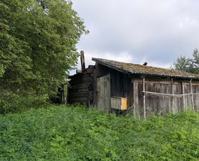 Statybos, apdaila - Griovimo ir demontavimo darbai - 1