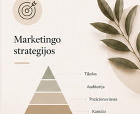 Marketingo strategijos kūrimas - Įžvalgos, kuriančios pelną. - 1