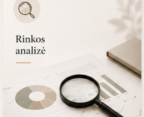 Rinkos analizė - Įžvalgos, kuriančios pelną. - 1