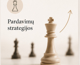 Rinkodara (marketingas) - Įžvalgos, kuriančios pelną. - 4