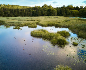 Komercinė ir asmeninė fotografija! Renginiai. Portretai. / Edvinas Ivanovas / Darbų pavyzdys ID 4464200