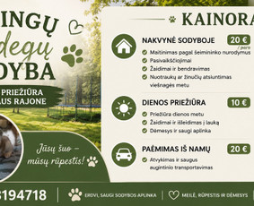 &Scaron;unų vie&scaron;bučiai, vedžiojimas, priežiūra - Rūpestinga augintinių priežiūra ir nakvynė (&Scaron;unų vie&scaron;butis) - 2