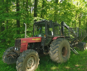 Aplinka, sodas - Perkame Biokurą, mi&scaron;kus - 3