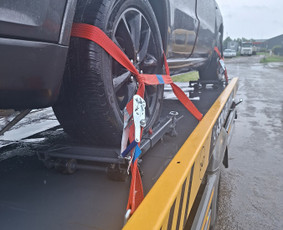 Transportas - Tralas &Scaron;iauliai visa Lietuva - 4