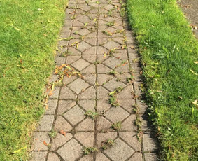 Plovimas auk&scaron;tu slėgiu - Trinkelių ir kitų pavir&scaron;ių Plovimas - 3