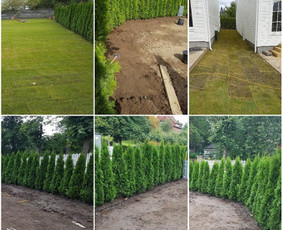 Atliekų išvežimas, Griovimas, Demontavimas, Statybos / UAB Rytojaus Vizijos Projektai / Darbų pavyzdys ID 4467010