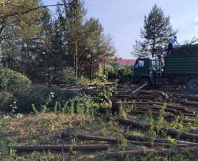 Atliekų išvežimas, Griovimas, Demontavimas, Statybos / UAB Rytojaus Vizijos Projektai / Darbų pavyzdys ID 4467160