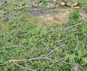 Atliekų išvežimas, Griovimas, Demontavimas, Statybos / UAB Rytojaus Vizijos Projektai / Darbų pavyzdys ID 4467174
