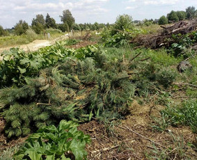 Atliekų išvežimas, Griovimas, Demontavimas, Statybos / UAB Rytojaus Vizijos Projektai / Darbų pavyzdys ID 4467264