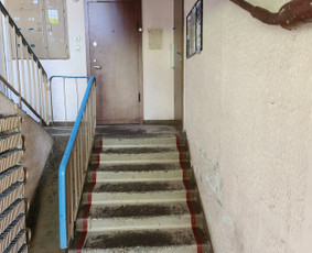 Greitas ir kokybiškas valymas / Mb AG meistrų sprendimai / Darbų pavyzdys ID 4467960
