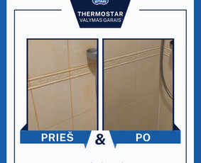 Garų valytuvas Thermostar nuoma Vilnuje / UAB Fors fortuna / Darbų pavyzdys ID 4468452