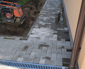 Trinkelių klojimas / Dovydas / Darbų pavyzdys ID 4468956