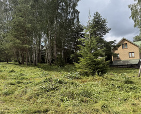 Vejos priežiūra, įrengimas - Sklypų tvarkymas , krūmų - medžių pjovimas - 3