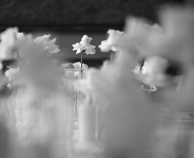 Fotografai - Fotografas Mantas Kutkaitis - 3
