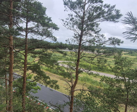 &Scaron;akų i&scaron;vežimas - Avarinių medžių pjovimas, Medžių genėjimas, Žolės pjovimas - 2