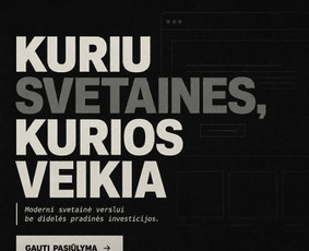 IT specialistai - Galiu talpinti jūsų interneto svetainę ir daugiau - 2