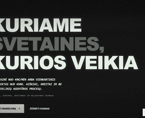 Svetainių talpinimas (Hosting) - Galiu talpinti jūsų interneto svetainę ir daugiau - 2