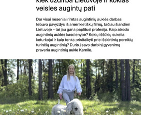 Naujienlai&scaron;kių kūrimas ir sklaida - Įvairių tekstų kūrimas, soc. tinklų administravimas, Pr, kt. - 2