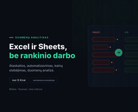 Darbo su &bdquo;Microsoft Office Excel&ldquo; programa konsultacijos - Excel/google Sheets: automatizavimas, ataskaitos, analizė - 1