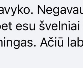 Lietuvių kalbos korepetitoriai - Lietuvių kalbos bei istorijos korepetitorius - 1