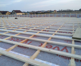 Epdm dangos montavimas, plokščių stogų šiltinimas / Stogų dengimas EPDM / Darbų pavyzdys ID 4471670