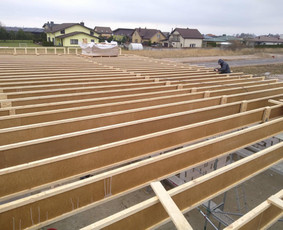 Epdm dangos montavimas, plokščių stogų šiltinimas / Stogų dengimas EPDM / Darbų pavyzdys ID 4471678