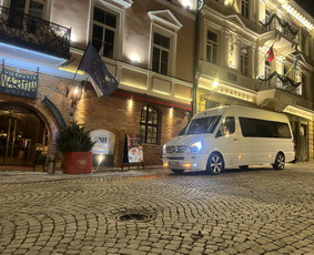 Party bus nuoma - Limobus nuoma / Diskobusas.lt / Darbų pavyzdys ID 4472696