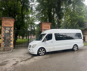 Party bus nuoma - Limobus nuoma / Diskobusas.lt / Darbų pavyzdys ID 4472706