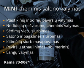 Automobilių plovyklos - Cheminis ir detalus salono valymas "Vakuauto" - 2