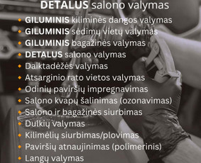 Automobilių plovyklos - Cheminis ir detalus salono valymas "Vakuauto" - 4