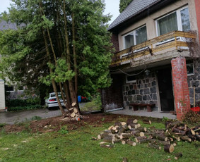 Arboristo paslaugos: medžių pjovimas/genėjimas / Tomas Damulis / Darbų pavyzdys ID 4473778