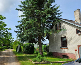 Medžių genėjimas, pjovimas - Arboristo paslaugos: medžių pjovimas/genėjimas - 1