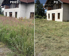 Vejos priežiūra, įrengimas - Žolės ir vejos pjovimas vėjapjove ir trimeriu. - 4