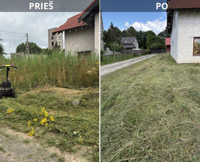 Vejos priežiūra, įrengimas - Žolės ir vejos pjovimas vėjapjove ir trimeriu. - 3