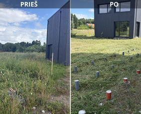 Vejos priežiūra, įrengimas - Žolės ir vejos pjovimas vėjapjove ir trimeriu. - 2