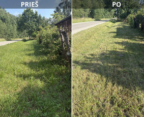 Vejos priežiūra, įrengimas - Žolės ir vejos pjovimas vėjapjove ir trimeriu. - 1